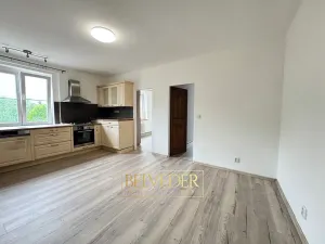 Pronájem bytu 3+kk, Ústí nad Labem, Klíšská, 60 m2