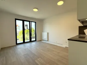 Pronájem bytu 2+kk, Praha - Libeň, Zenklova, 60 m2