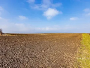 Prodej vícegeneračního domu, Chotiněves, 495 m2