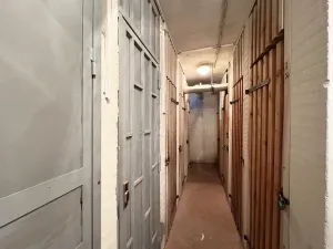 Pronájem bytu 3+kk, Praha, Píškova, 70 m2