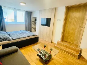 Pronájem bytu 1+kk, Modřice, Brněnská, 35 m2