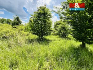 Prodej pozemku, Veselí nad Moravou, 1026 m2