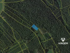 Prodej lesa, Loužnice, 1652 m2