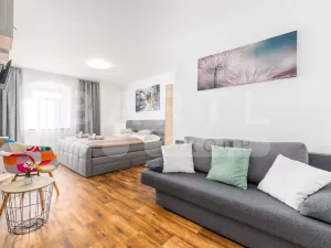 Prodej ubytování, Frymburk, 528 m2