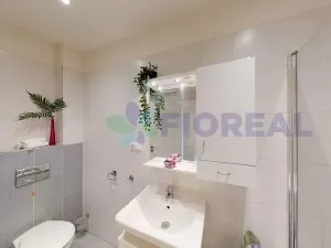 Pronájem bytu 1+kk, Praha - Vinohrady, Lublaňská, 41 m2