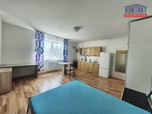 Pronájem bytu 1+kk, České Budějovice - České Budějovice 2, 34 m2