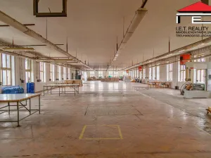 Prodej skladu, Aš, Selbská, 8650 m2