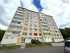 Prodej bytu 2+kk, Krupka - Maršov, Dukelských hrdinů, 39 m2