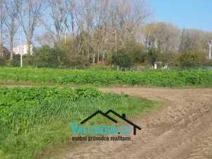 Prodej pole, Hulín, 419 m2