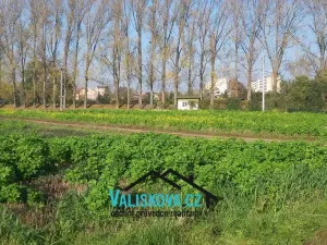 Prodej pole, Hulín, 710 m2
