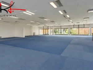 Pronájem obchodního prostoru, Lovosice, Osvoboditelů, 542 m2