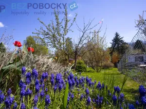 Prodej zahrady, Polná, 453 m2