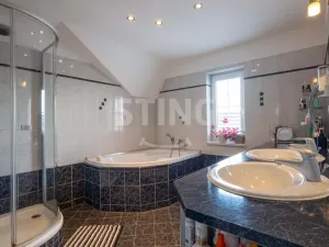 Prodej rodinného domu, Chlebičov, 380 m2