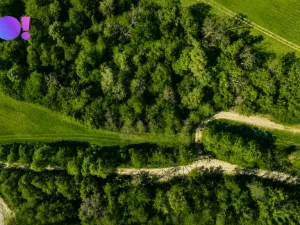 Prodej zahrady, Zástřizly, 845 m2