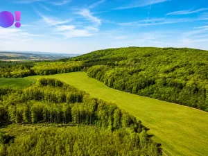 Prodej zahrady, Zástřizly, 845 m2