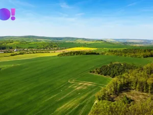 Prodej zahrady, Zástřizly, 845 m2