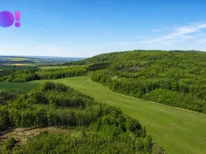 Prodej pozemku pro bydlení, Zástřizly, 203 m2