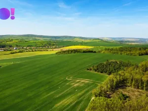 Prodej pozemku pro bydlení, Zástřizly, 203 m2