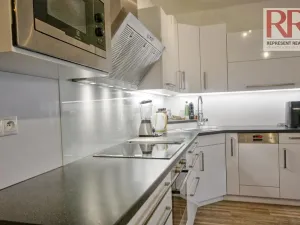 Pronájem bytu 1+kk, Plzeň, U Borských kasáren, 40 m2