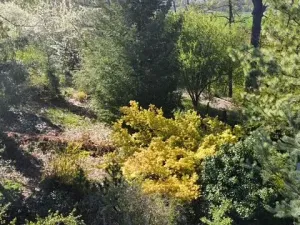 Prodej pozemku pro bydlení, Mnichovo Hradiště, Nad Skalou, 962 m2