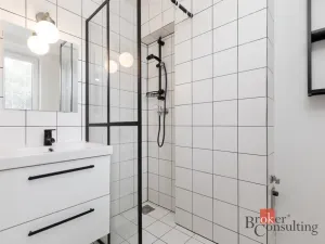 Pronájem bytu 1+1, Opava - Město, Solná, 33 m2
