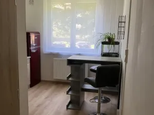 Prodej bytu 1+1, Olomouc - Nové Sady, Družební, 35 m2