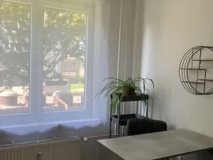 Prodej bytu 1+1, Olomouc - Nové Sady, Družební, 35 m2