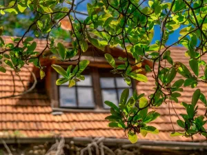 Prodej rodinného domu, Malečov - Proboštov, 160 m2
