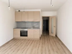 Prodej bytu 1+kk, Praha - Chodov, Měchnovská, 4 m2