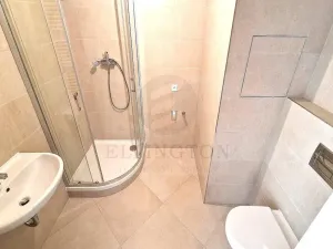 Prodej bytu 1+kk, Praha - Chodov, Měchnovská, 4 m2