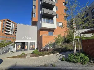 Prodej bytu 1+kk, Praha - Chodov, Měchnovská, 4 m2