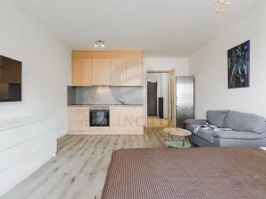 Prodej bytu 1+kk, Praha - Chodov, Měchnovská, 36 m2