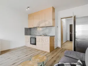 Prodej bytu 1+kk, Praha - Chodov, Měchnovská, 36 m2