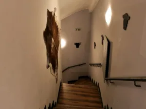 Prodej obchodního prostoru, Olomouc, Riegrova, 890 m2