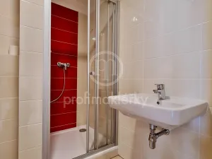 Pronájem bytu 1+kk, Brno, Spolková, 33 m2