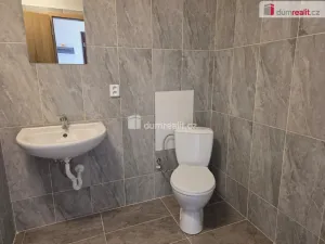 Pronájem bytu 1+1, Nový Jičín, B. Martinů, 31 m2
