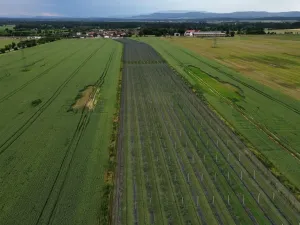 Prodej komerčního pozemku, Čejkovice, 32904 m2