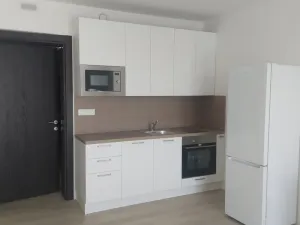 Pronájem bytu 1+kk, Olomouc, Třída Jiřího Pelikána, 31 m2