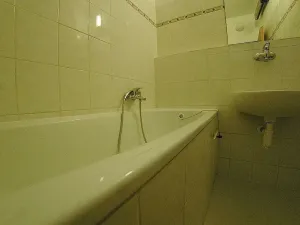 Prodej bytu 1+1, Plzeň, Klatovská, 39 m2