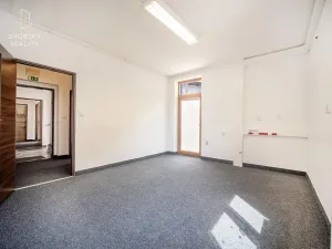 Prodej rodinného domu, Mladá Boleslav, Ptácká, 305 m2