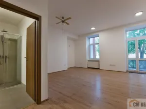 Pronájem bytu 1+kk, Olomouc - Hodolany, Holická, 40 m2
