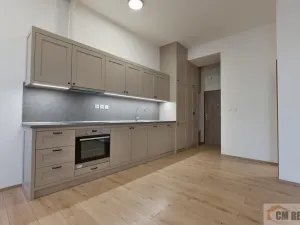 Pronájem bytu 1+kk, Olomouc - Hodolany, Holická, 40 m2