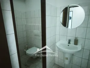 Pronájem obchodního prostoru, Plzeň, Poděbradova, 242 m2
