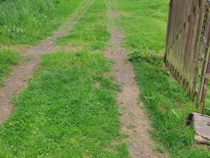 Prodej rodinného domu, Konice - Křemenec, 280 m2