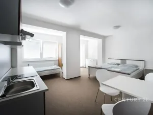 Prodej ubytování, Most, Pod Širokým vrchem, 312 m2