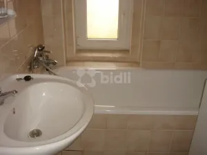 Pronájem bytu 1+1, Praha - Libeň, U Vlachovky, 40 m2