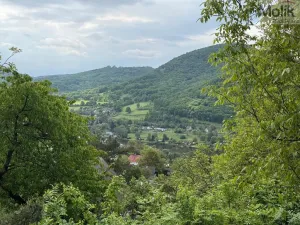 Prodej zahrady, Dolní Zálezly, 465 m2