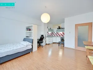 Pronájem bytu 1+kk, Olomouc - Nová Ulice, Na Tabulovém vrchu, 30 m2