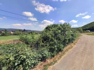 Prodej pole, Lety, Lety pod lesem, 500 m2