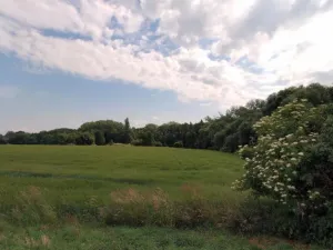 Prodej pole, Květnice, Lékořicová, 4623 m2